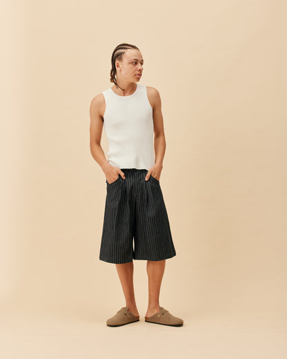 Double Pleated Shorts | NAVY PINSTRIPE